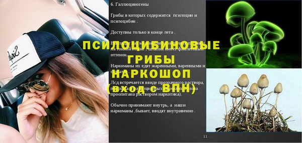 ПСИЛОЦИБИНОВЫЕ ГРИБЫ Богородицк