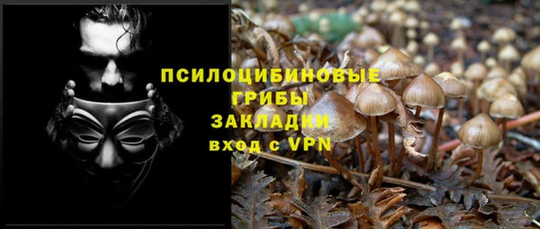 ПСИЛОЦИБИНОВЫЕ ГРИБЫ Богородицк