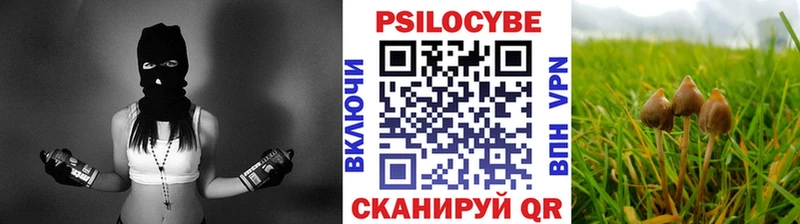 Псилоцибиновые грибы Magic Shrooms Невьянск
